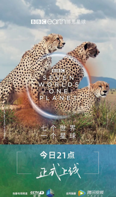 [夸克下载][BBC纪录片专题78部][WEB-MKV/941G][国语中字][1080P][纪录片合集]-影音屋