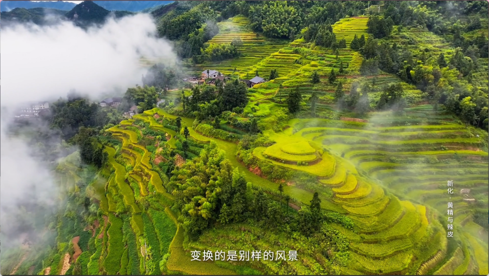 图片[6]-[夸克下载][一江百味][全10集][WEB-MP4/3.5G][国语中字][4K-2160P][最新美食纪录片]-影音屋