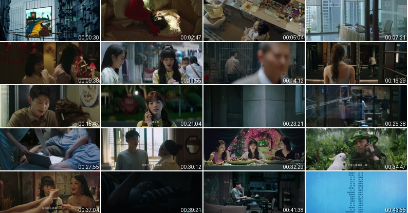 图片[2]-[夸克下载][半熟男女][全27集][WEB-MP4/14GB][国语中字][4K-2160P][超前完结]-影音屋