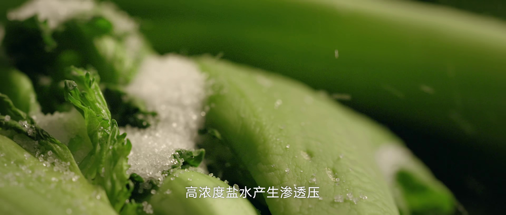 图片[5]-[夸克下载][小酸村][全12集][WEB-MKV/4.6G][国语配音/中文字幕][4K-2160P][美食纪录片]-影音屋