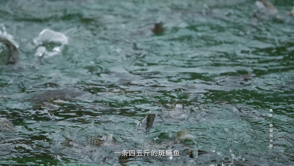 图片[4]-[夸克下载][一江百味][全2季][WEB-MKV/5.7G][国语配音/中文字幕][4K-2160P][美食纪录片]-影音屋