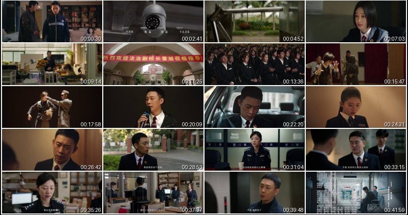 图片[2]-[夸克下载][九部的检察官][全18集][WEB-MKV/59G][国语中字][4K-2160P][高码版][张译 秦岚 超前完结]-影音屋