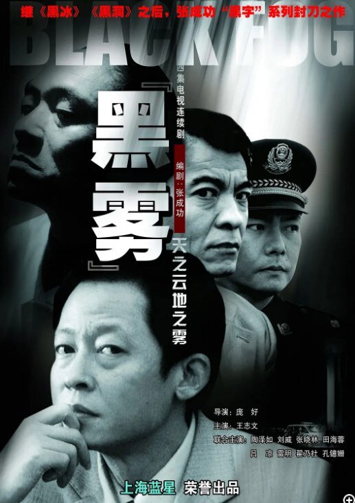 [夸克下载][黑雾][全24集][WEB-MKV/5G][国语配音/中文字幕][480P][王志文 陶泽如]-影音屋