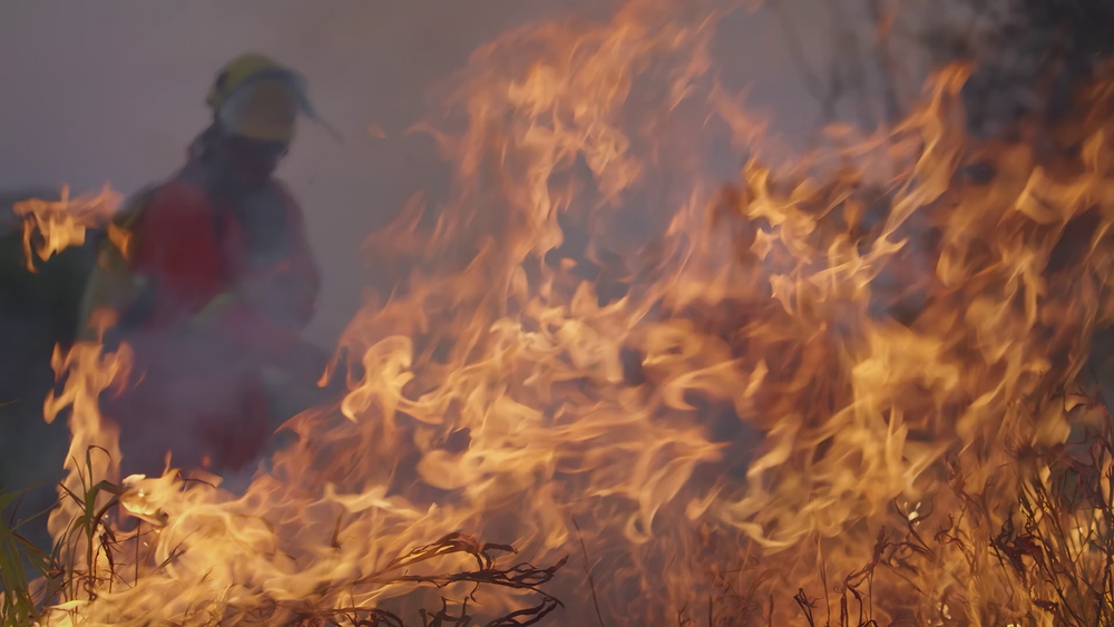图片[5]-[夸克下载][地球脉动][全3季][WEB-MKV/500G][国英双语中字][4K/1080P][9.8分纪录片 超清极致观影]-影音屋