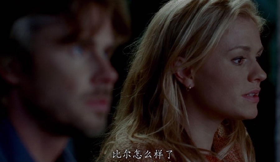 图片[2]-[夸克下载][真爱如血[全8季][WEB-MP4/95.4GB][英语中字][1080P][大C]-影音屋