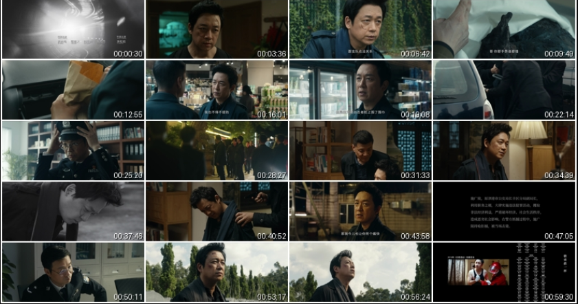 图片[2]-[夸克下载][白夜破晓/白夜追凶2][全29集][WEB-MKV/211GB][国语中字][4K-2160P][潘粤明 王龙正 高码多版]-影音屋