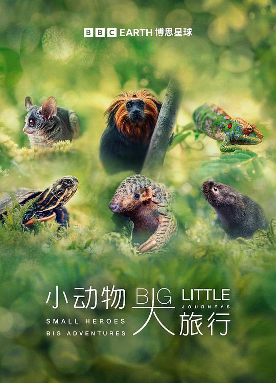 [夸克下载][小动物.大旅行.第一季][全3集][WEB-MP4/9G][中文字幕][1080P]-影音屋