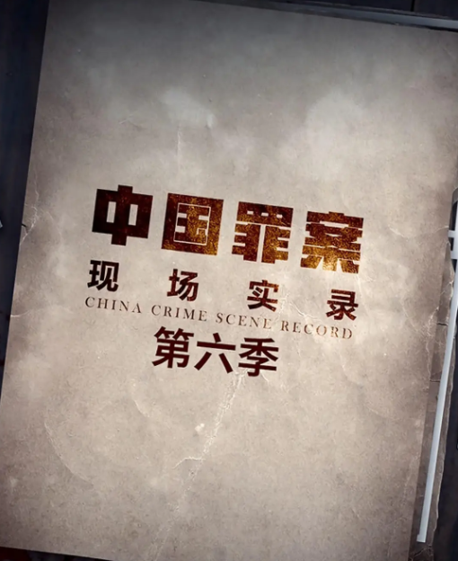 [夸克下载][罪案现场实录 第六季][全12集][WEB-MKV/11G][国语中字][4K-2160P][纪录片]-影音屋
