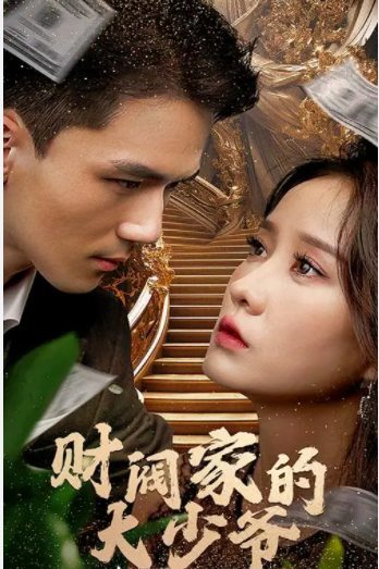 [夸克下载][财阀家的大少爷][全100集][WEB-MKV/500MB][国语中字][1080P][超爽短剧]-影音屋