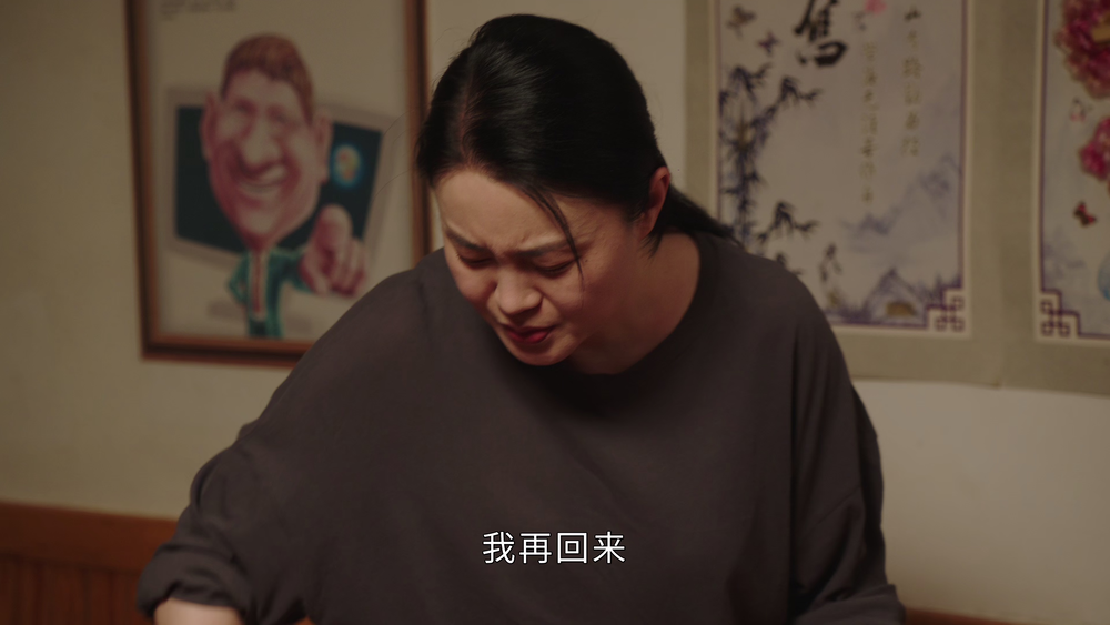 图片[3]-[夸克下载][乡村爱情17][全40集][WEB-MKV/64.4G][国语中字][4K/1080P][超前点映完结]-影音屋