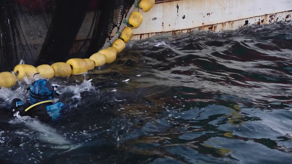 图片[4]-[夸克下载][地球脉动][全3季][WEB-MKV/500G][国英双语中字][4K/1080P][9.8分纪录片 超清极致观影]-影音屋