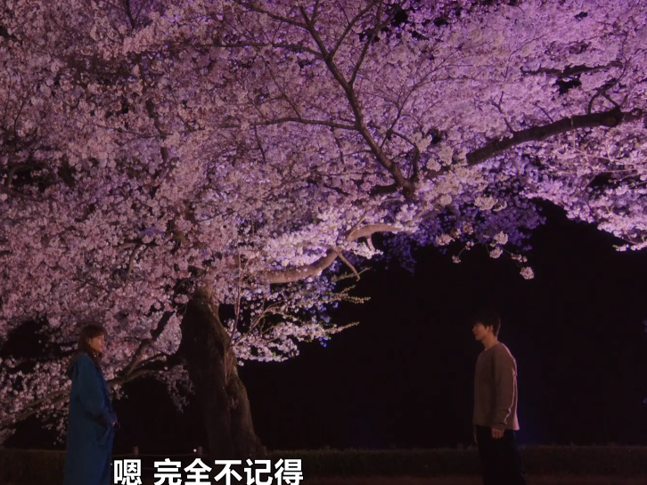 图片[2]-[夸克下载][9界线][全10集][WEB-MP4/16.5GB][日语中字][1080P]-影音屋