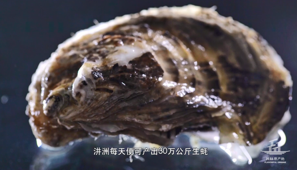 图片[3]-[夸克下载][风味原产地系列][全5季][WEB-MP4/14G][国语中字][4K/1080P/720P][湖北 潮汕 云南 甘肃贵阳 美食纪录片]-影音屋