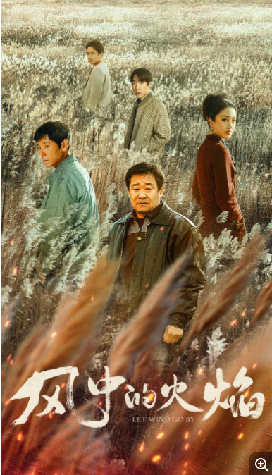 [夸克下载][风中的火焰][全24集][WEB-MKV/153G][国语中字][4K-2160P][点映超前完结 高码多版]-影音屋