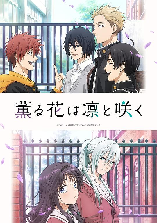 [夸克下载][薰香花朵凛然绽放][全13集][WEB-MKV/8G][日语中字][1080P]-影音屋