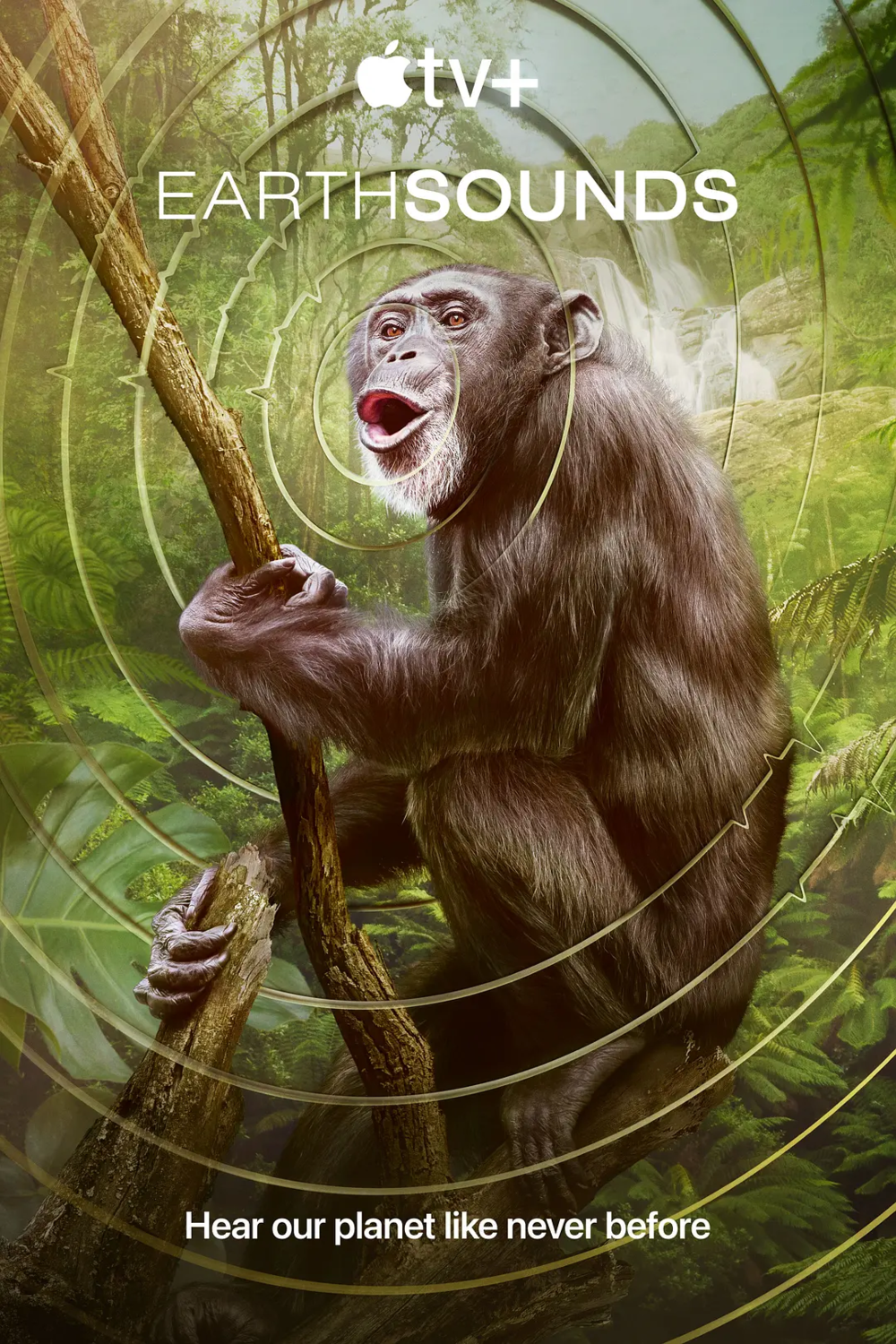 [夸克下载][地球之声][全12集][WEB-MP4/12.9G][英语中字][1080P][最新纪录片]-影音屋