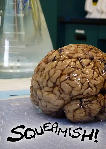 [夸克下载][全球最恶心][全10集][WEB-MKV/11G][英语中字][1080P][警告：重口味，慎入！]-影音屋