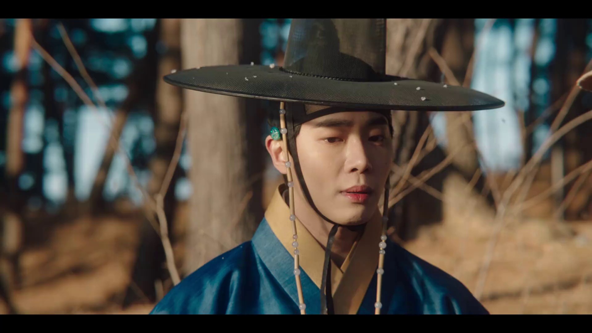 图片[4]-[夸克下载][玉氏夫人传][全16集[WEB-MKV/46.2G][韩语中字][1080P][高码版][林智妍主演历史宫斗剧]-影音屋