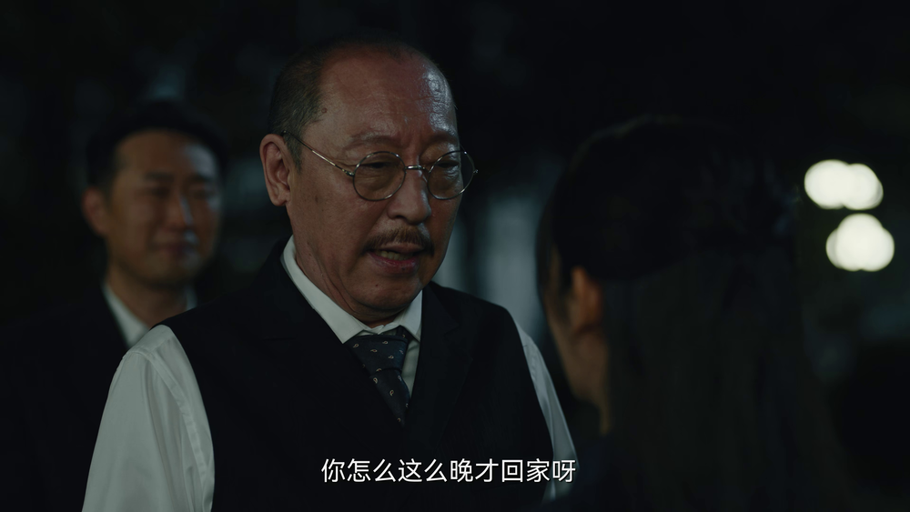图片[3]-[夸克下载][暗夜与黎明][全38集][WEB-MKV/68.2G][国语中字][4K-2160P]-影音屋