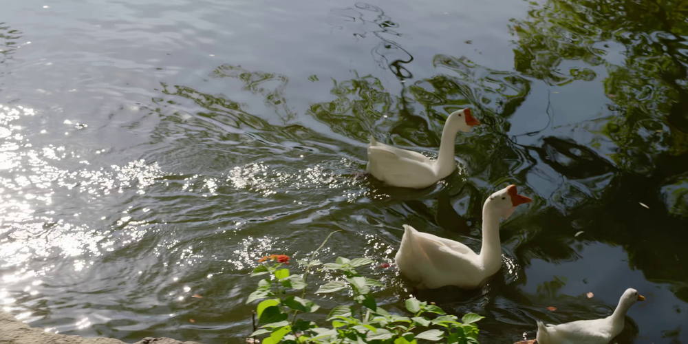 图片[5]-[夸克下载][怎敌她千娇百媚][全26集][WEB-MKV/18.3G][国语中字][4K-2160P][超前点映完结]-影音屋