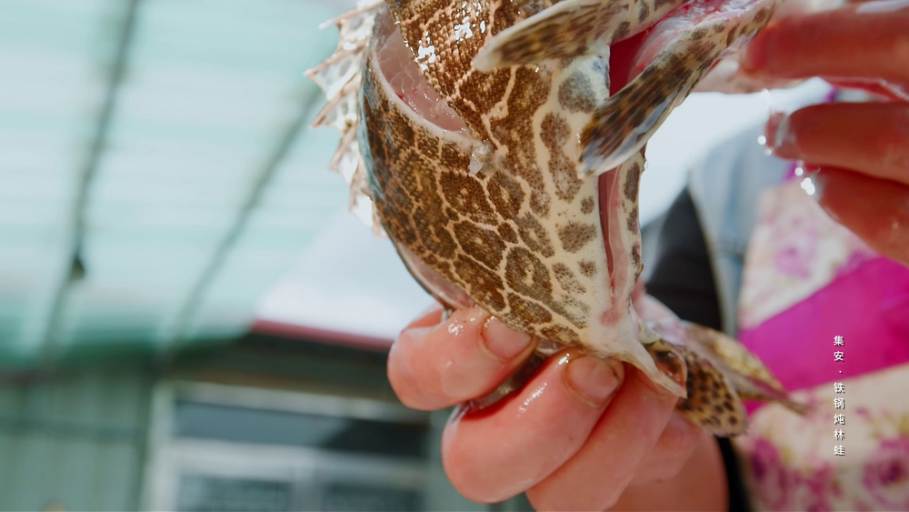 图片[6]-[夸克下载][一江百味][全2季][WEB-MKV/5.7G][国语配音/中文字幕][4K-2160P][美食纪录片]-影音屋