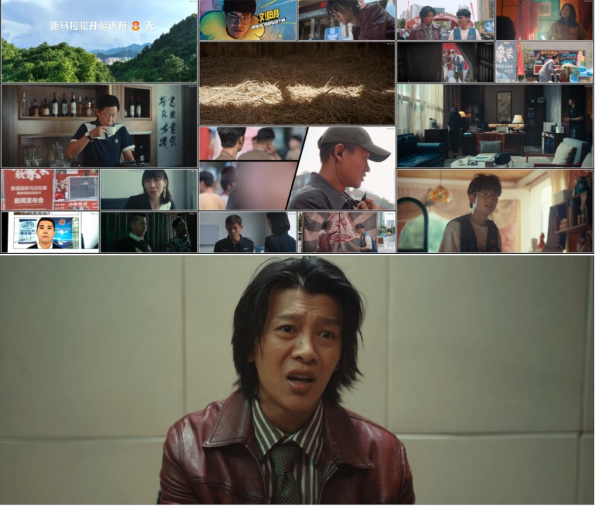 图片[2]-[夸克下载][消失的大象][全12集][WEB-MKV/19G][国语中字][4K-2160P][任素汐 王志文2024新剧]-影音屋