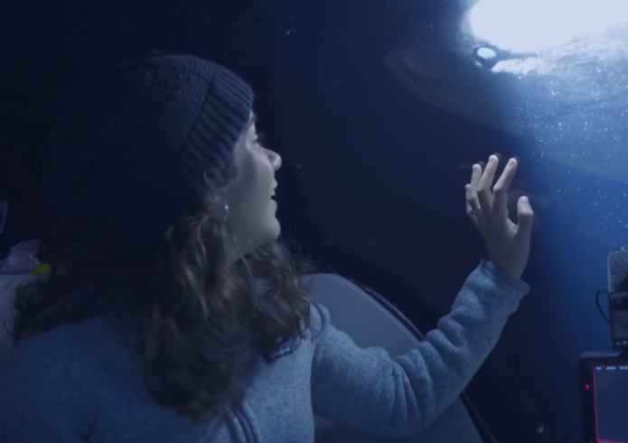 图片[3]-[夸克下载][海洋探索者号][全6集][WEB-MP4/7.4GB][英语中字][4K-2160P][最新海洋纪录片]-影音屋