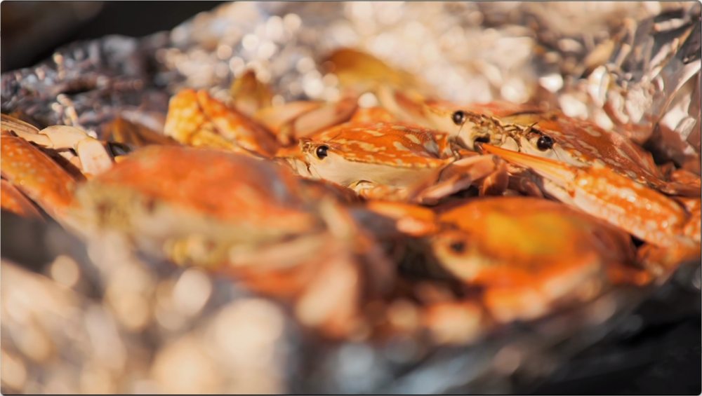 图片[3]-[夸克下载][三餐四季 海南篇][全10集][WEB-MP4/2.3G][国语中字][4K-2160P][最新美食纪录片]-影音屋