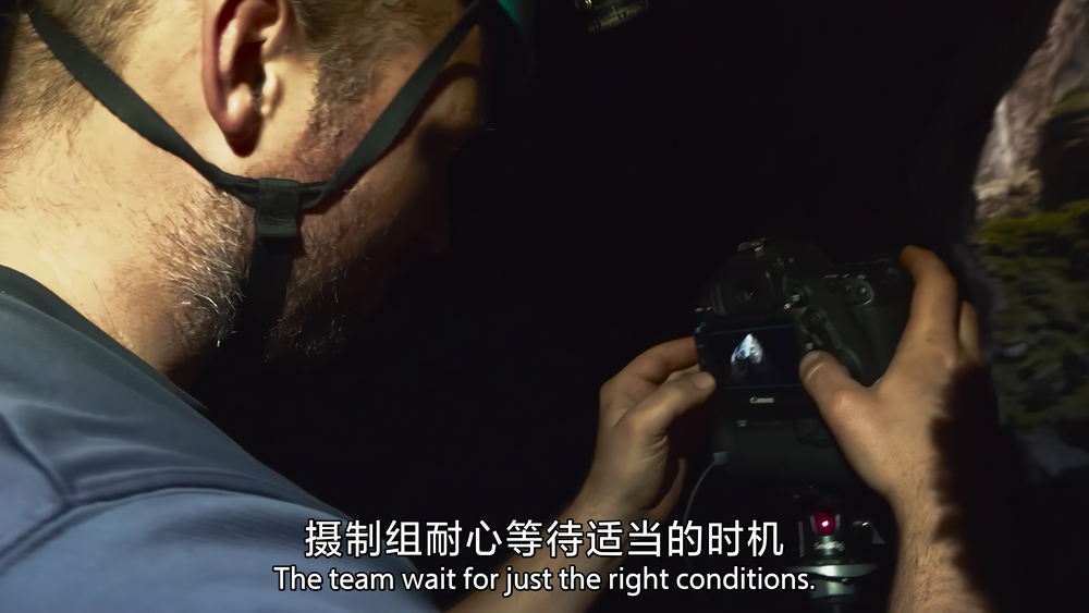 图片[3]-[夸克下载][地球脉动][全3季][WEB-MKV/500G][国英双语中字][4K/1080P][9.8分纪录片 超清极致观影]-影音屋