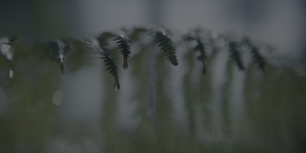 图片[6]-[夸克下载][龙之家族 第二季][全8集][WEB-MKV/8.8G][英语中字][1080P/4K][HBOGO版本]-影音屋