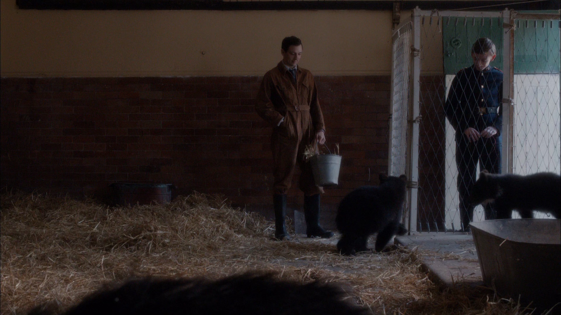 图片[4]-[夸克下载][我们的动物园][全6集][WEB-MKV/10G][英语中字][1080P]-影音屋