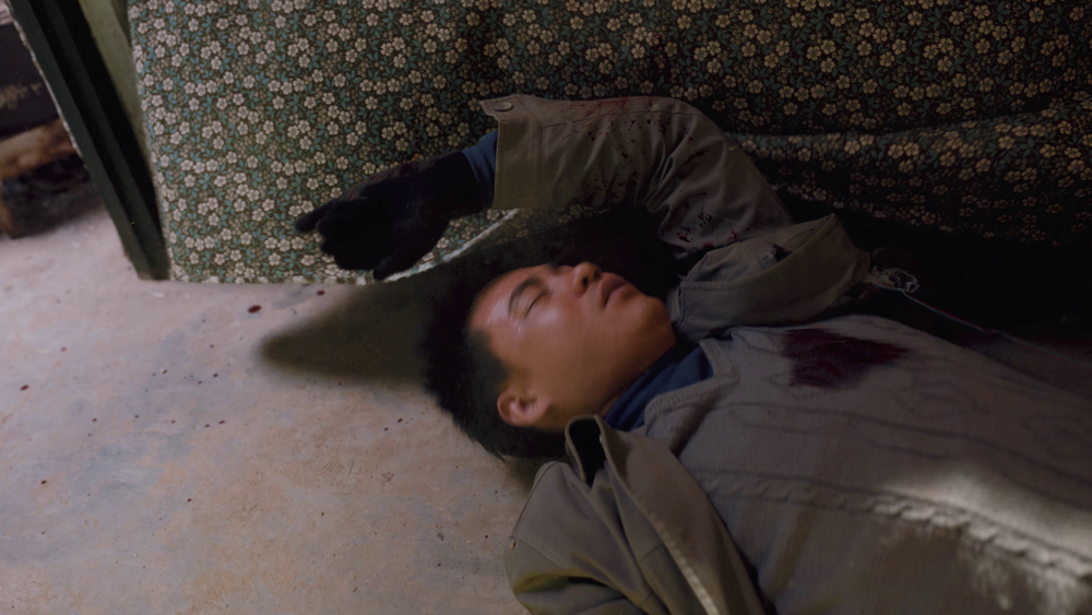 图片[3]-[夸克下载][南来北往][全39集][WEB-MKV/212.5G][国语中字][4K-2160P]-影音屋