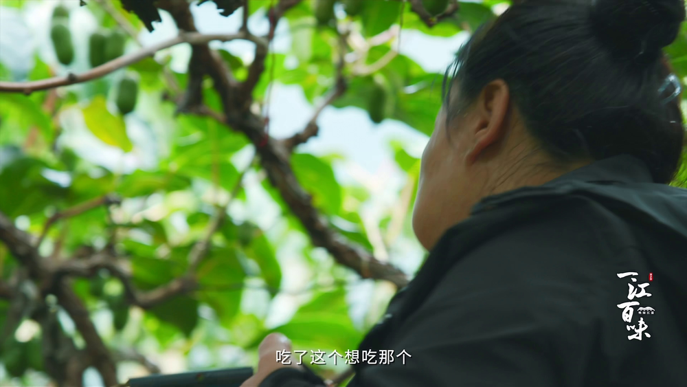 图片[7]-[夸克下载][一江百味][全2季][WEB-MKV/5.7G][国语配音/中文字幕][4K-2160P][美食纪录片]-影音屋