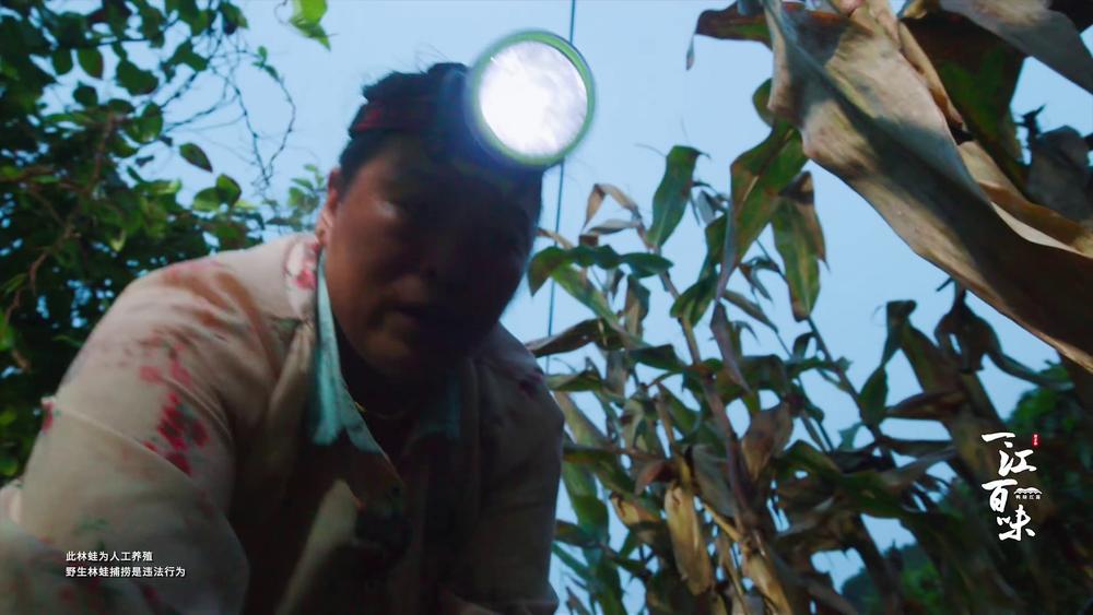 图片[5]-[夸克下载][一江百味][全2季][WEB-MKV/5.7G][国语配音/中文字幕][4K-2160P][美食纪录片]-影音屋