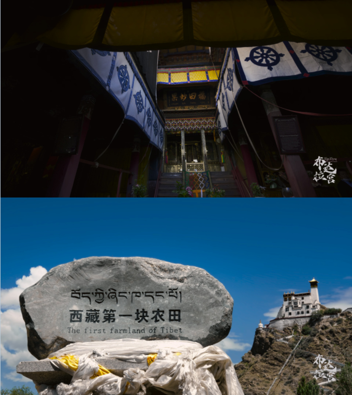 图片[2]-[夸克下载][布达拉宫][全7集][WEB-MKV/13.2G][国语中字][4K-2160P][纪录片]-影音屋