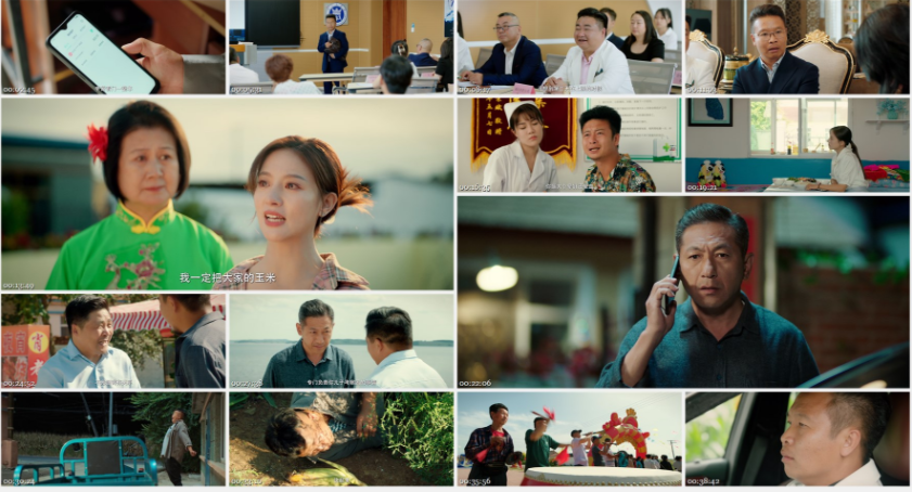 图片[2]-[夸克下载][二龙湖·“村”暖花开][全24集][WEB-MKV43.7GB][国语中字][4K-2160P][张浩 喜剧 超前完结]-影音屋