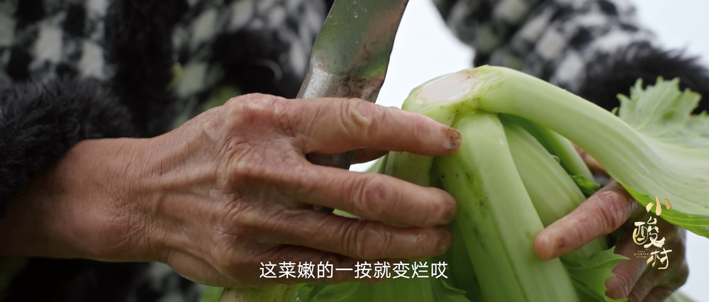 图片[3]-[夸克下载][小酸村][全12集][WEB-MKV/4.6G][国语配音/中文字幕][4K-2160P][美食纪录片]-影音屋