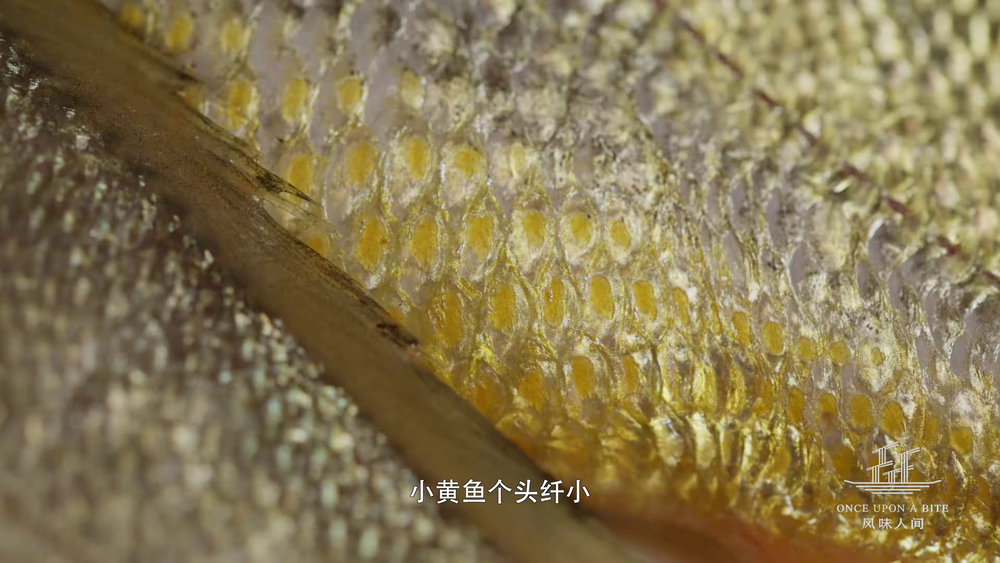 图片[6]-[夸克下载][风味人间][全4季][WEB-MKV/48.1G][国语中字][4K-2160P][高分美食纪录片]-影音屋