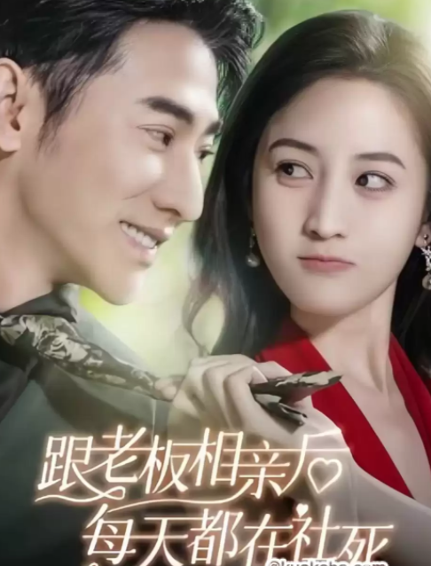 [夸克下载][跟老板相亲后每天都在社死][全83集][WEB-MKV/1.6G][国语中字][1080P][爽片短剧 颜值高]-影音屋