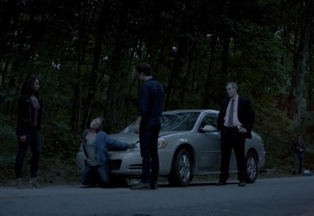 图片[3]-[夸克下载][吸血鬼日记 ][全8季][WEB-MKV/70.4GB][英语中字][1080P]-影音屋