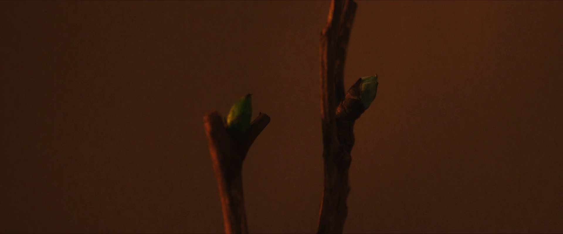 图片[7]-[夸克下载][风中的火焰][全24集][WEB-MKV/29.1G][国语中字][4K-2160P][王景春领衔 超前点映完结]-影音屋