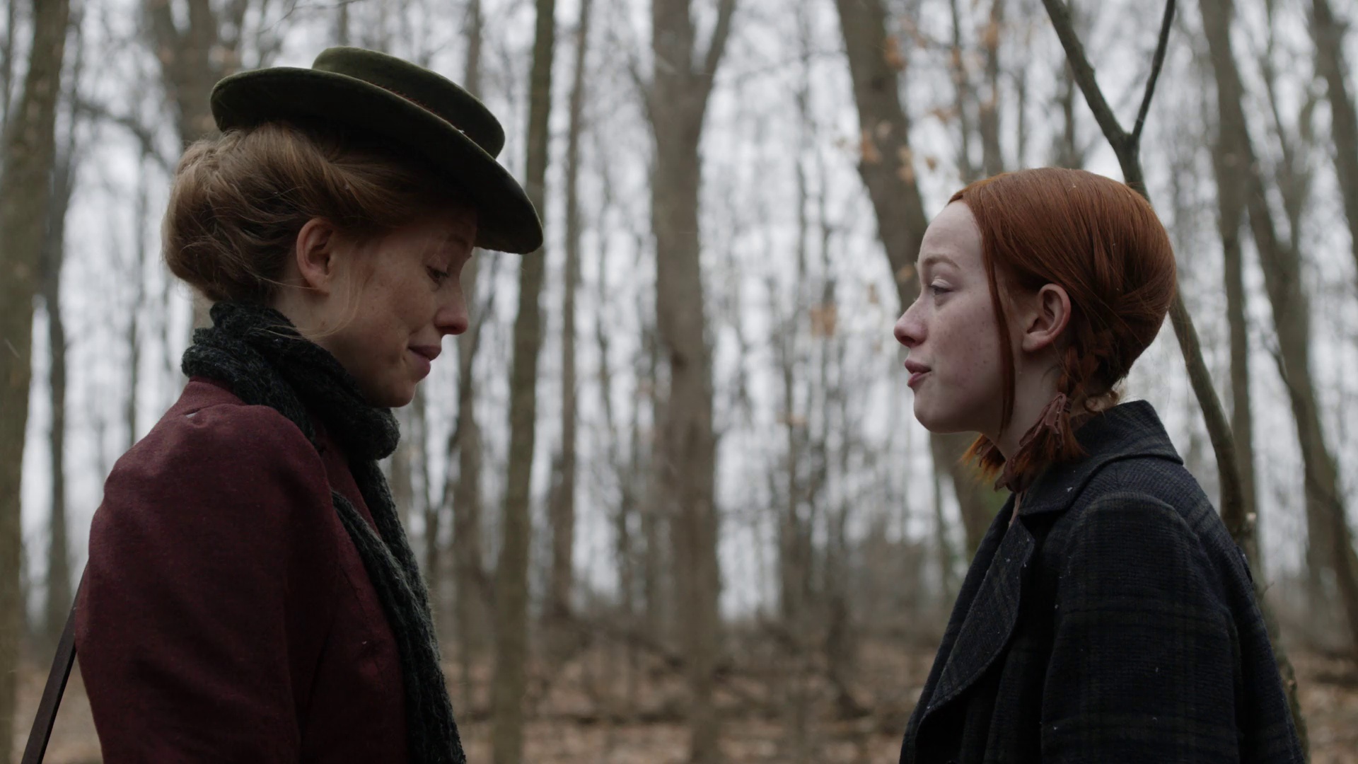 图片[2]-[夸克下载][小小安妮][全3季][WEB-MKV/65.1G][英语中字][1080P]-影音屋