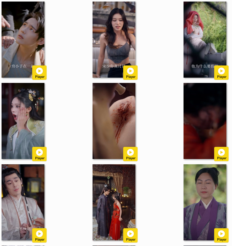 图片[5]-[夸克下载][霸道王爷的丫鬟娇妻][全88集][WEB-MKV/660MB][日语中字][1080P][上头超爽性感短剧]-影音屋