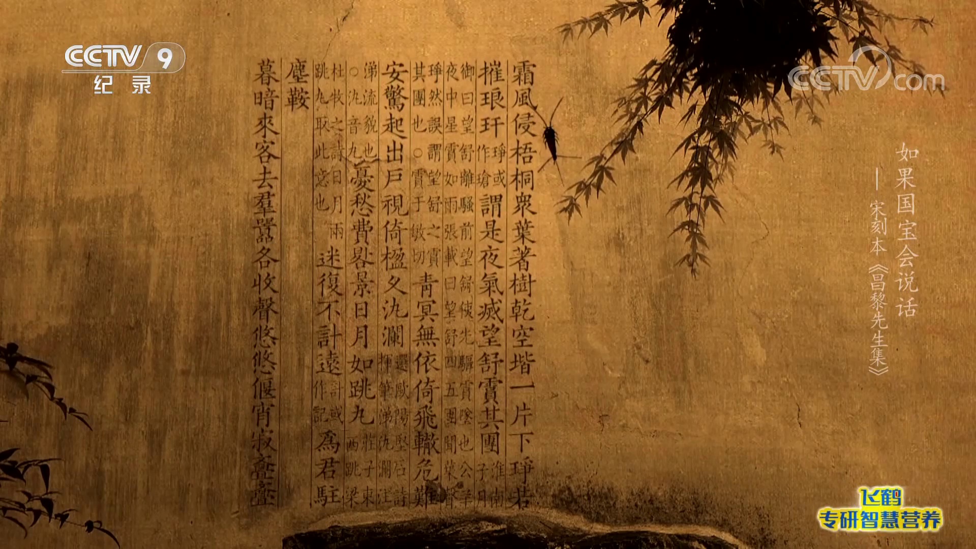 图片[8]-[夸克下载][如果国宝会说话][全4季][WEB-MKV/14.1G][国语中字][4K-2160P][全季高分记录片]-影音屋