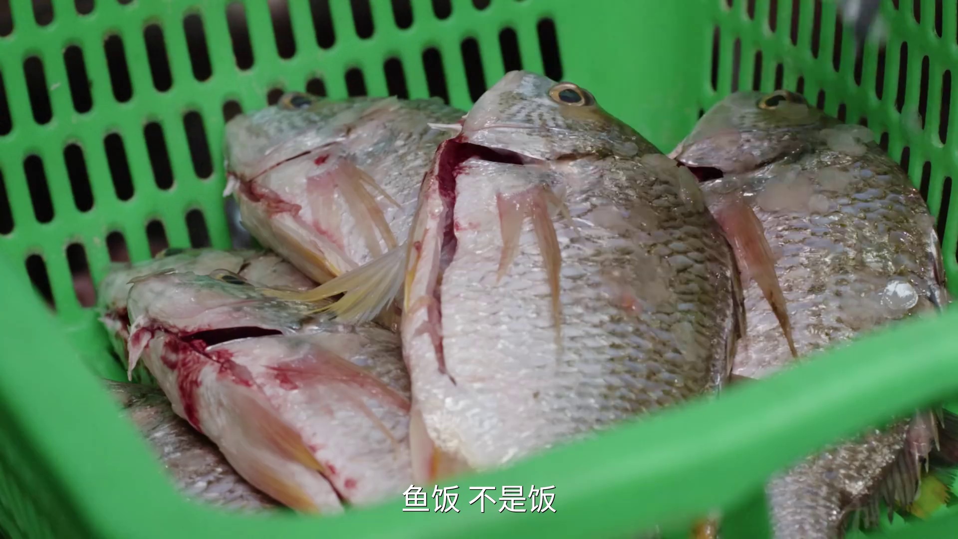 图片[3]-[夸克下载][越夜越宵愁][全6集][WEB-MKV/4.32G][国语中字][4K-2160P][美食纪录]-影音屋