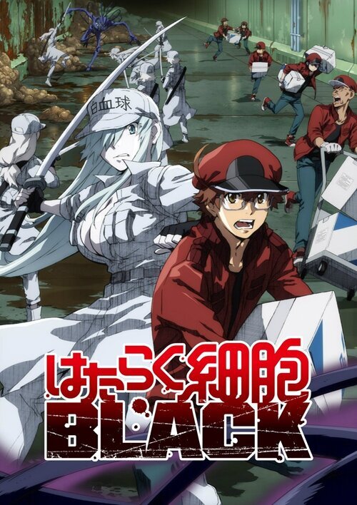 [夸克下载][工作细胞1-2季+BLACK+剧场][WEB-MKV/48G][日语中字][1080P]-影音屋