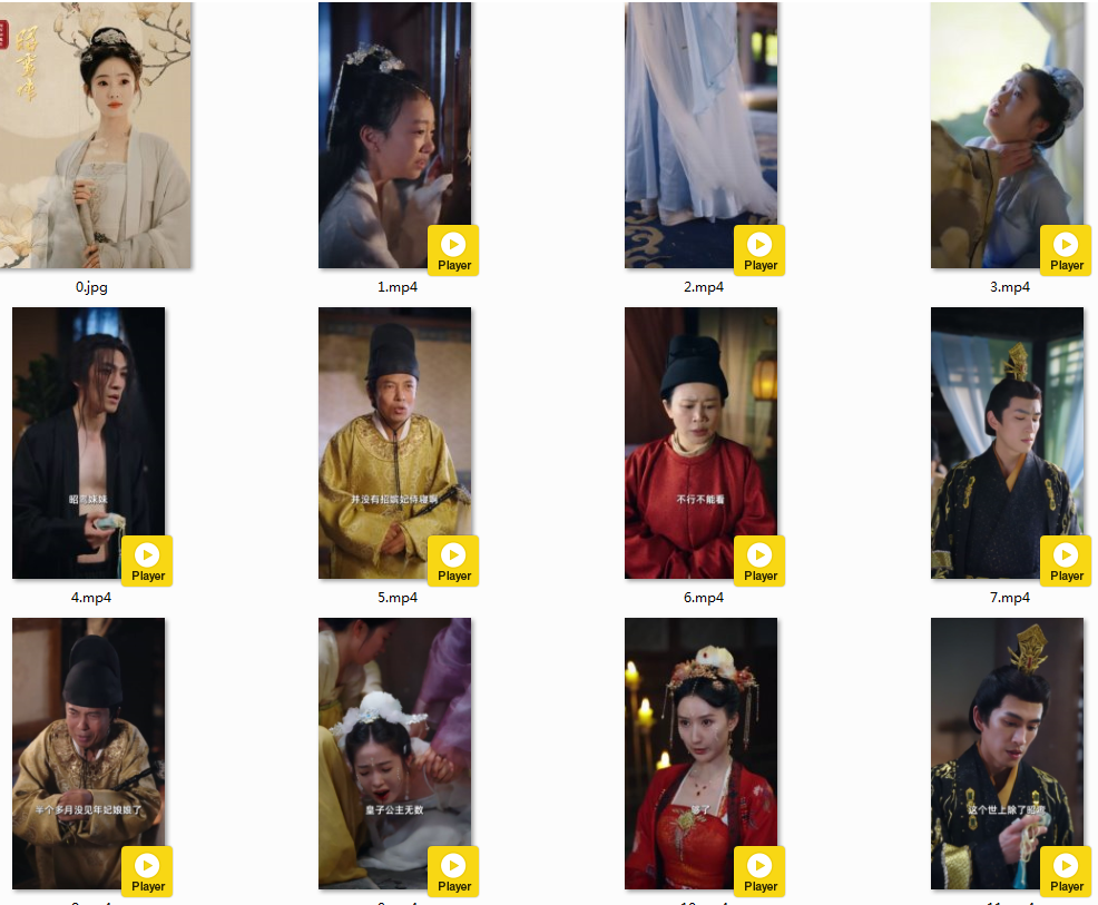 图片[3]-[夸克下载][深宫秘史之昭鸾传][全62集][WEB-MKV/1.5G][国语中字][1080P][超爽擦边短剧]-影音屋