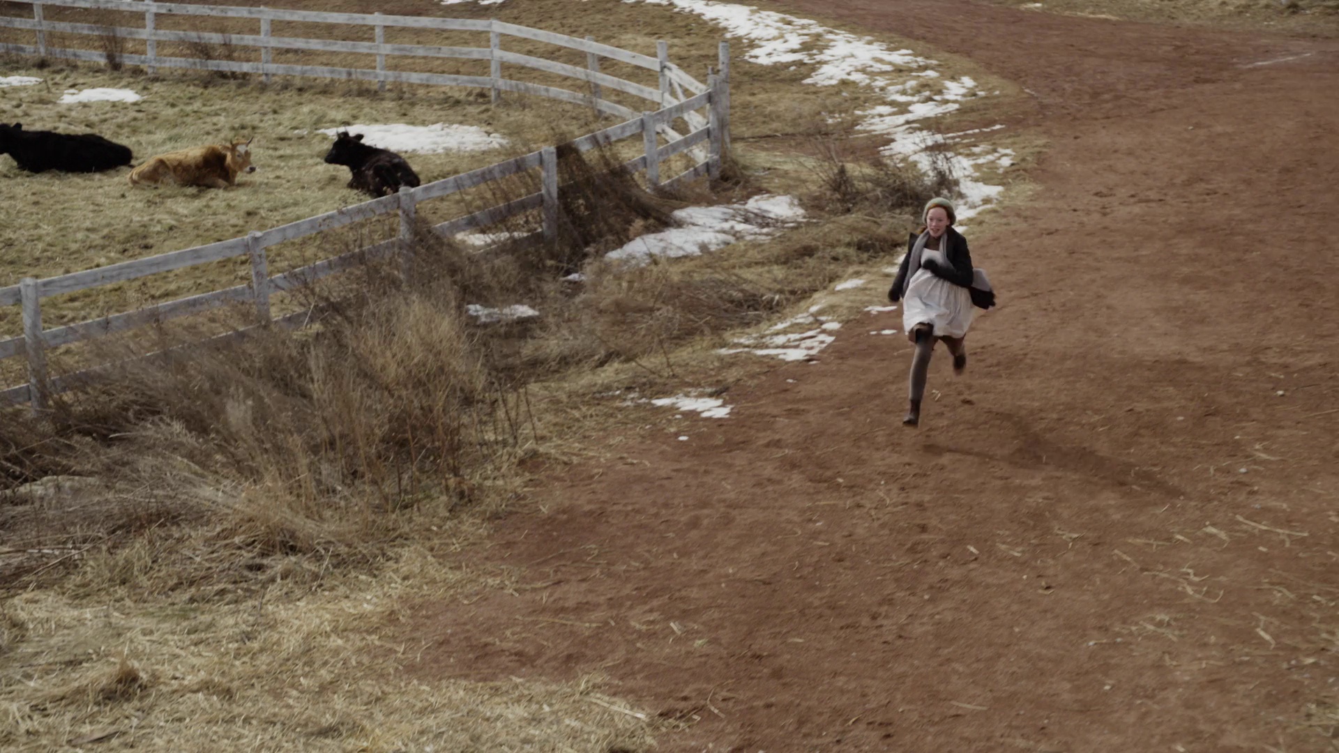 图片[4]-[夸克下载][小小安妮][全3季][WEB-MKV/65.1G][英语中字][1080P]-影音屋