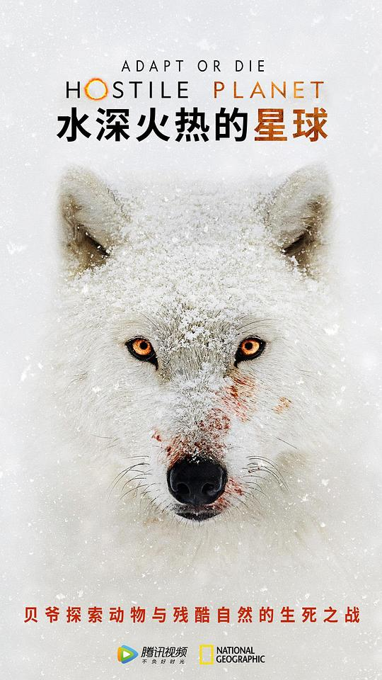 [夸克下载][水深火热的星球][全06集][WEB-MKV/21G][英语中字][1080P]-影音屋