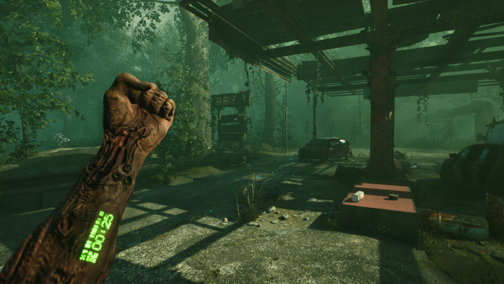 图片[9]-《血清抢先版(Serum)》V0.1.6官方中文版[俄网portable 2024.12.07更新12.61G]-影音屋